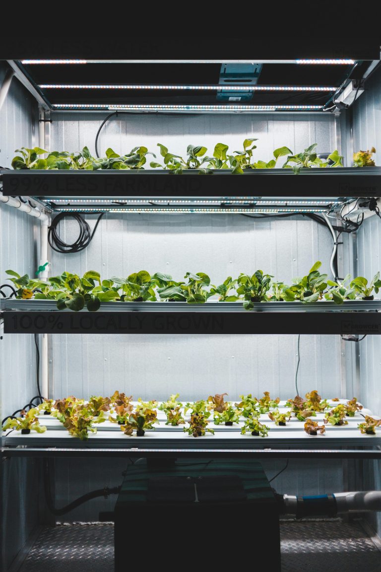 What actually grows well in a smart garden – and what doesn’t